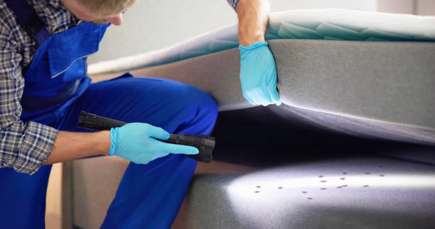 Best Pest Control Near Me in Coulee Dam, WA