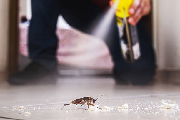 Best Commercial Pest Control Services  in Coulee Dam, WA